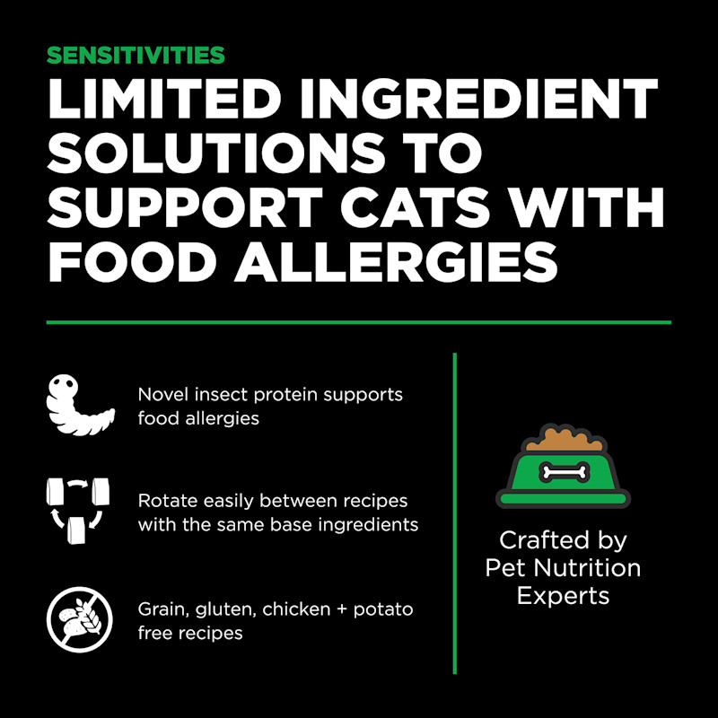 Limited ingredient solutions to support cats with food allergies