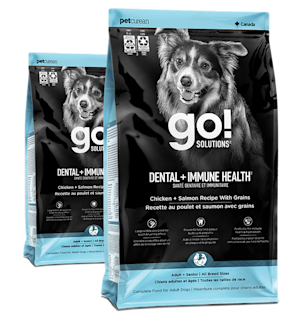 Go! Solutions Dental + Immune Health Chicken + Salmon Recipe for dogs