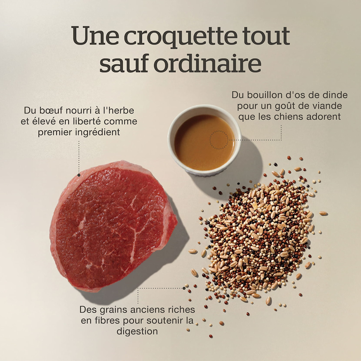 Grass-fed, free-range beef as the first ingredient
