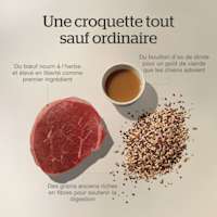 Grass-fed, free-range beef as the first ingredient