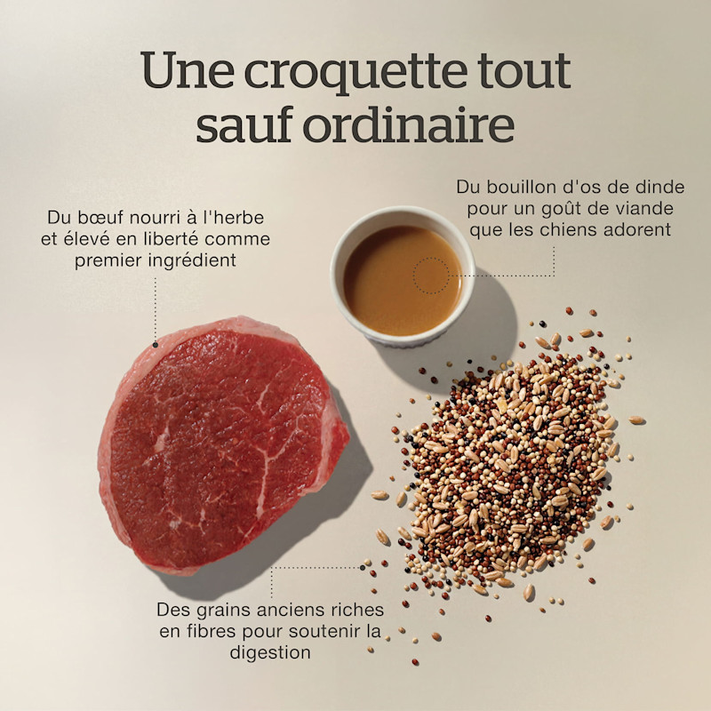 Grass-fed, free-range beef as the first ingredient