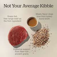 Grass-fed, free-range beef as the first ingredient