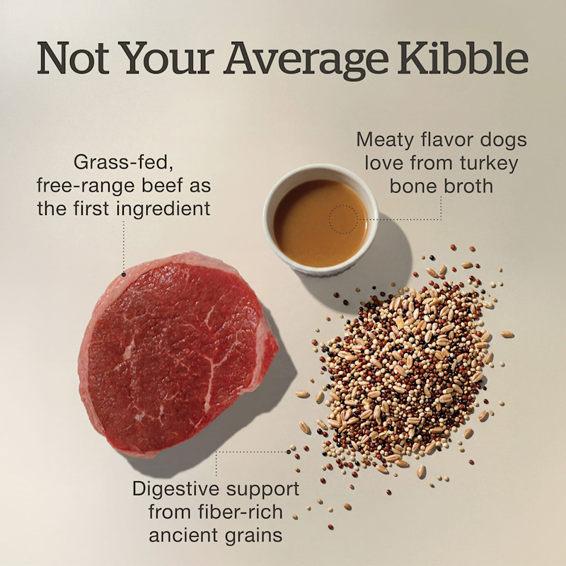 Grass-fed, free-range beef as the first ingredient