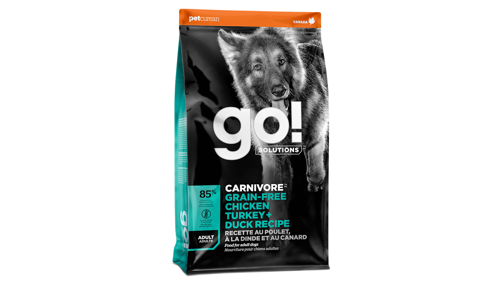 Go senior dog 2024 food