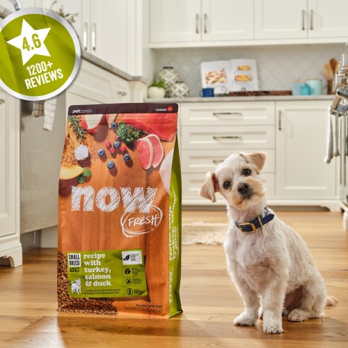 4.6 stars, 1200+ reviews, small breed dog sitting beside bag of NOW FRESH
