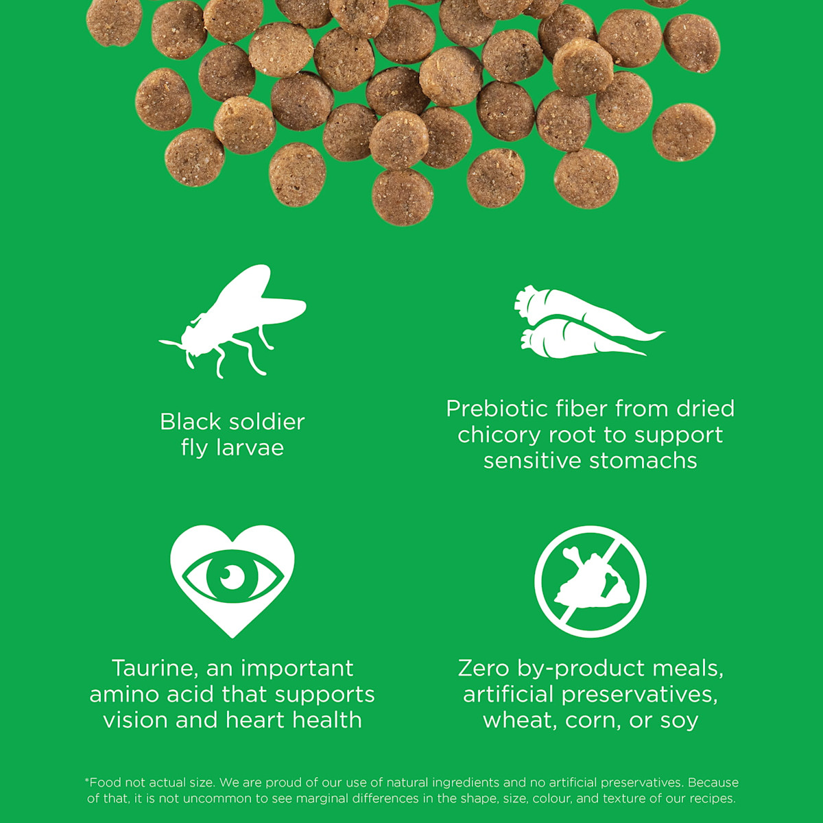 Black solder fly larvae, prebiotic fiber, taurine, and zero by-product meals