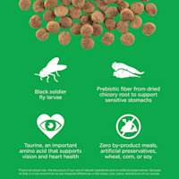 Black solder fly larvae, prebiotic fiber, taurine, and zero by-product meals