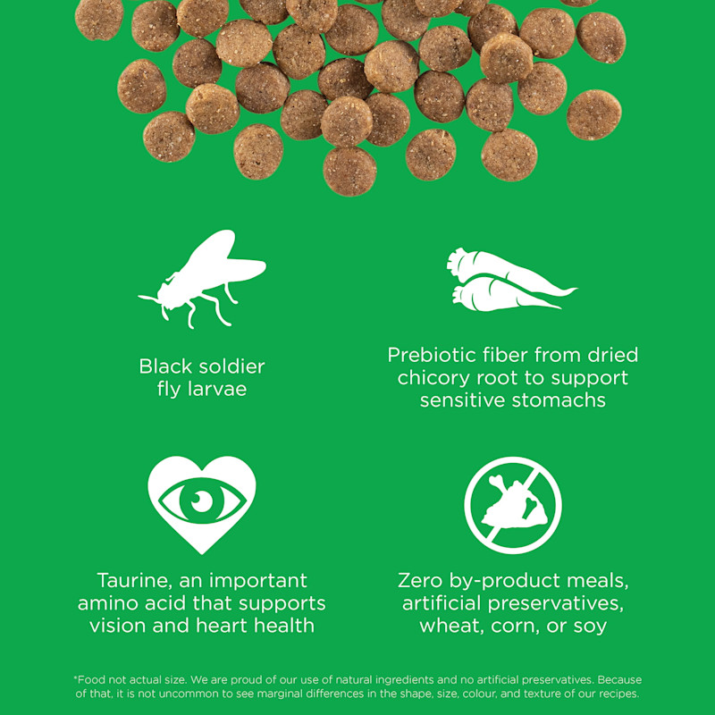 Black solder fly larvae, prebiotic fiber, taurine, and zero by-product meals