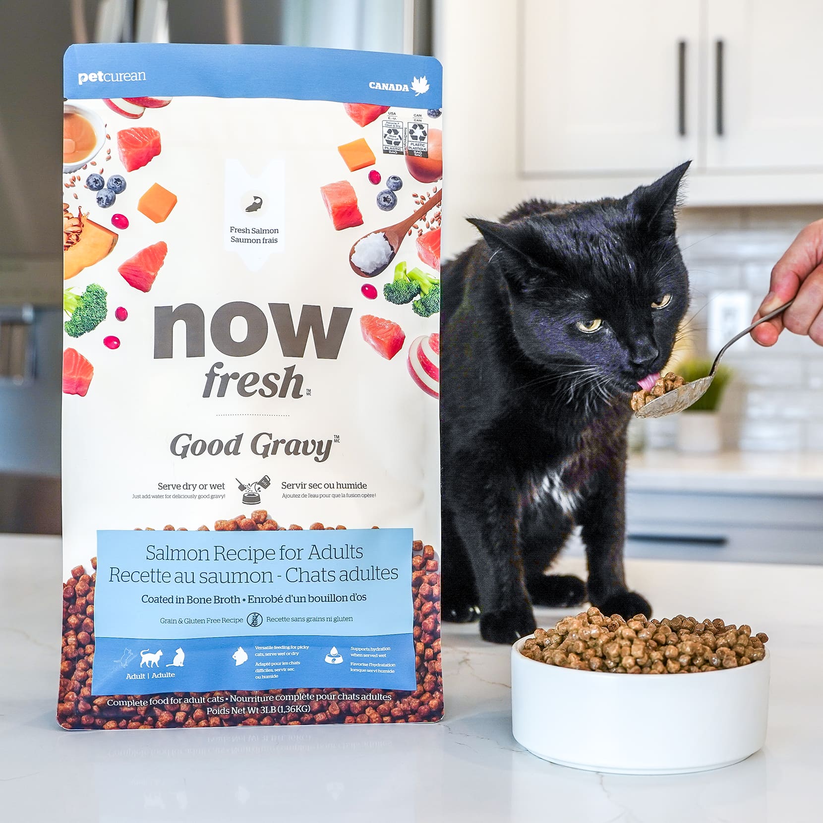 Good Gravy Salmon Coated in Bone Broth for Cats | Now Fresh