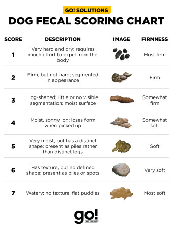 Dog fecal score chart