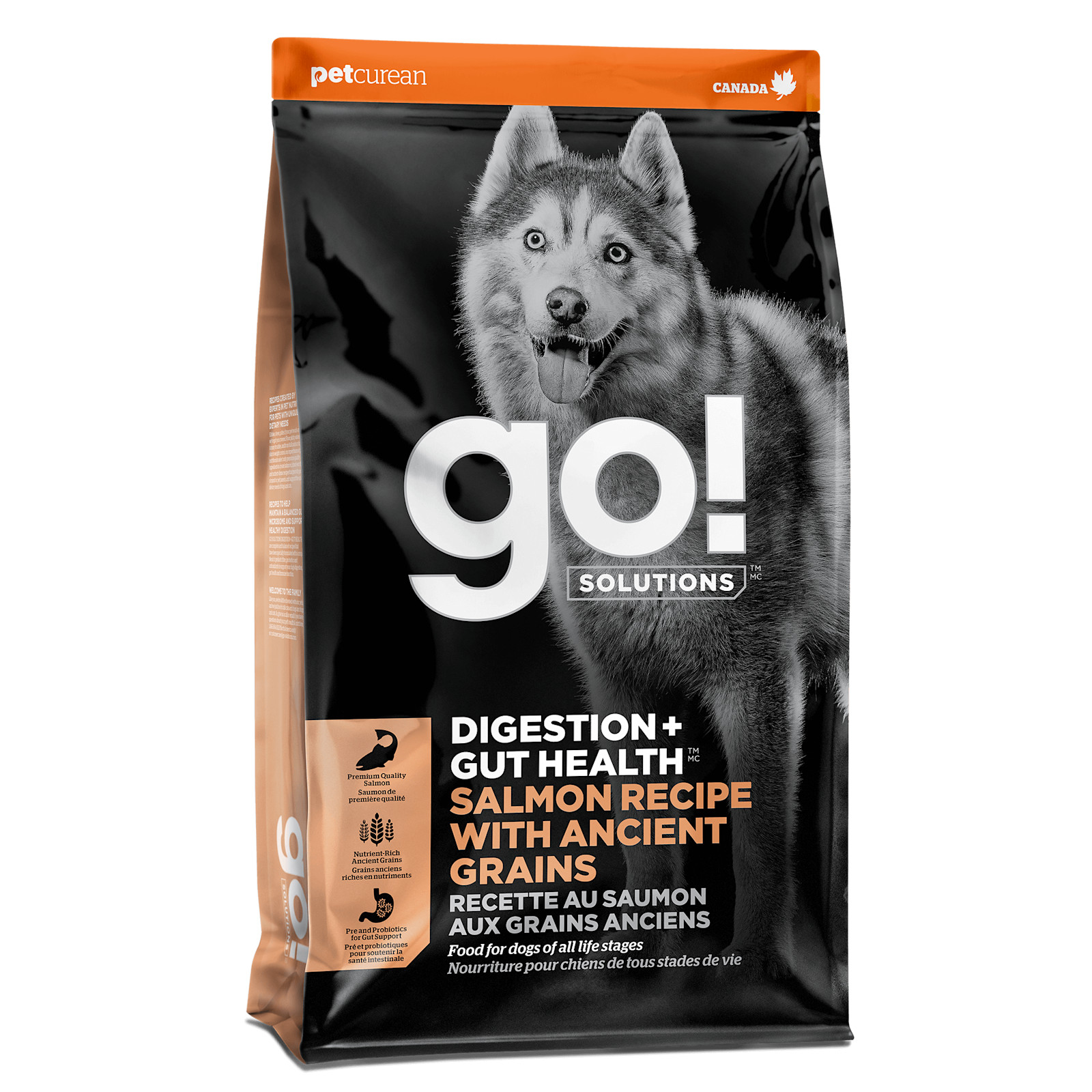 Food for old top dogs with digestive problems