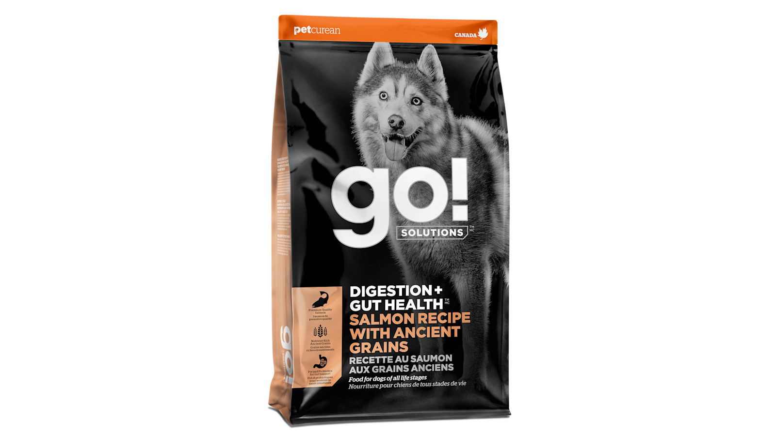 Dog food 2024 with ancient grains