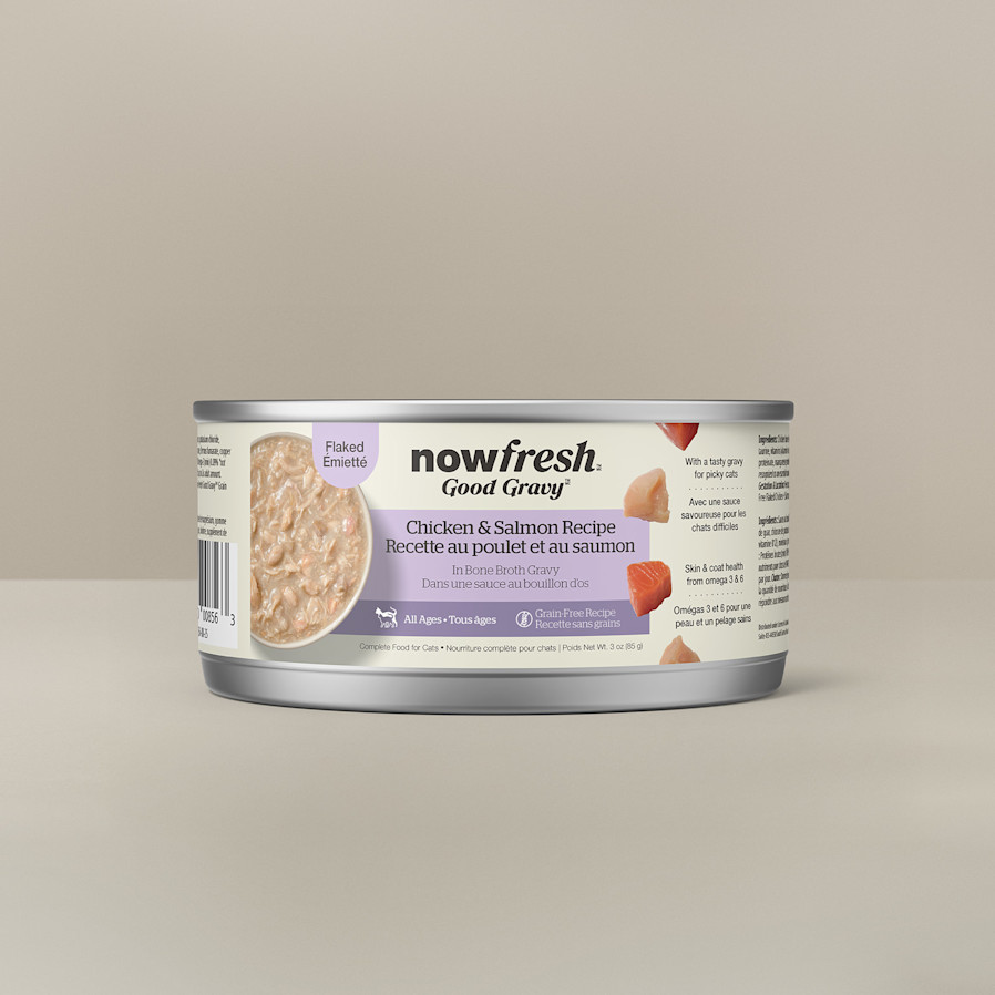 Now Fresh Good Gravy Chicken & Salmon Recipe wet food for cats