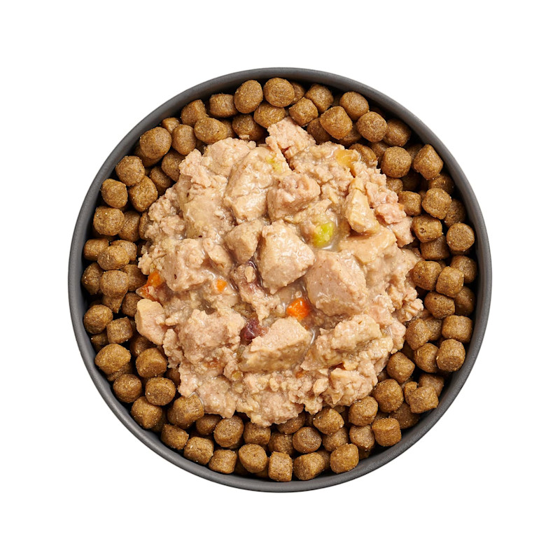 Bowl of kibble topped with Go! Booster Carnivore Minced Chicken Salmon + Duck recipe for cats