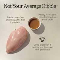 Fresh, cage-free chicken as the first ingredient