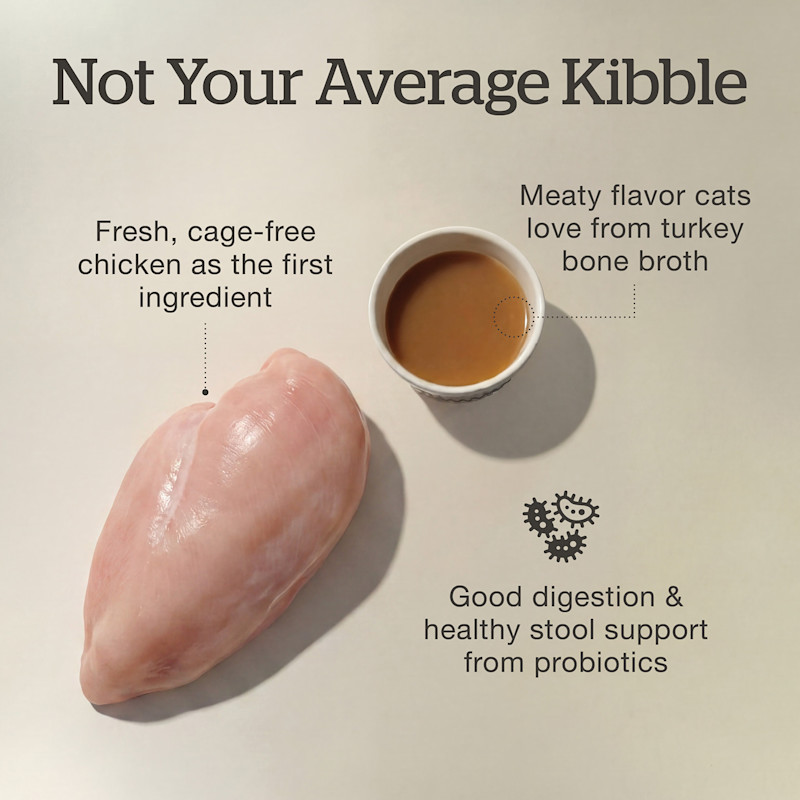 Fresh, cage-free chicken as the first ingredient