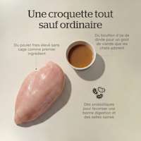 Fresh, cage-free chicken as the first ingredient