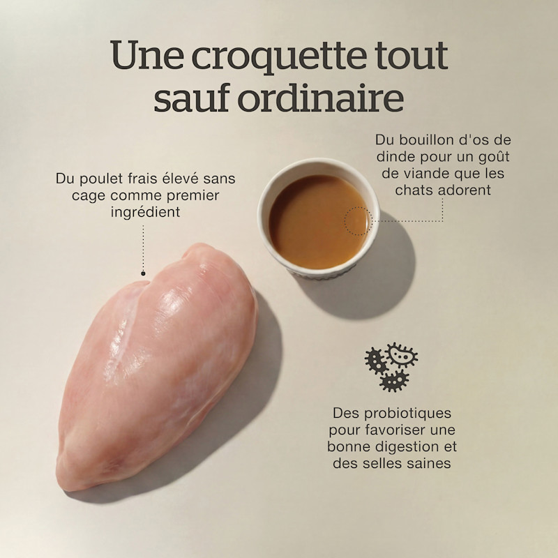 Fresh, cage-free chicken as the first ingredient