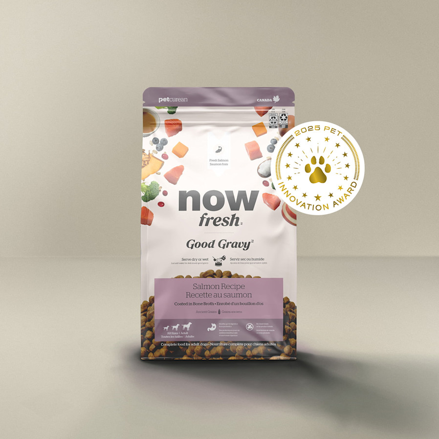 Now Fresh Good Gravy Salmon Recipe for Dogs, Pet Innovation Award 2025