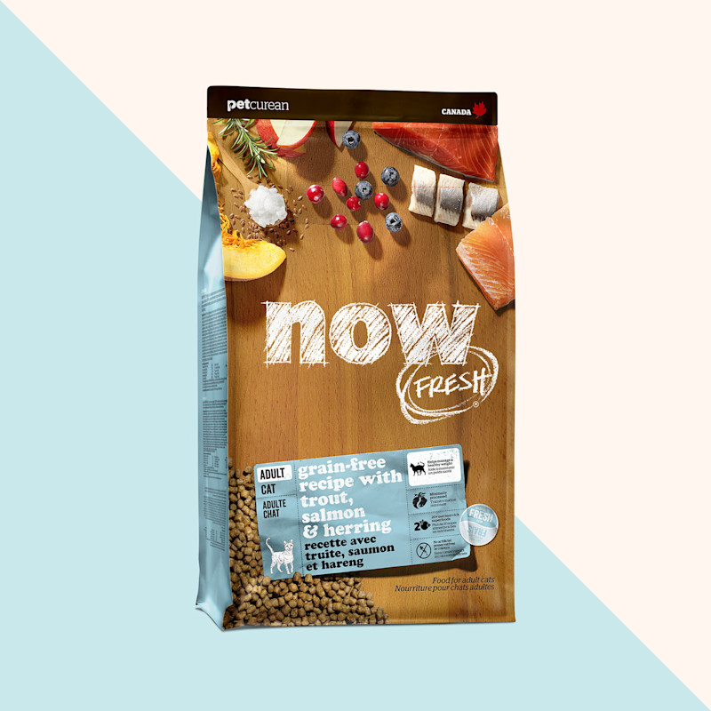Nourriture sèche pour chats adultes Now Fresh, recette sans grains à la truite, au saumon et au hareng