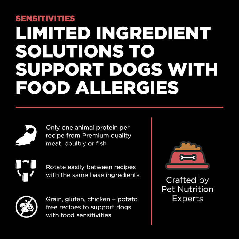 Limited ingredient solutions to support dogs with allergies