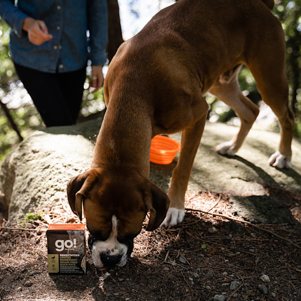 GO! Solutions Sensitivities Limited Ingredient Grain-Free Duck Pate Wet Dog Food