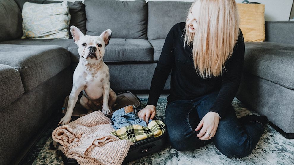 Dog and owner packing suitcase