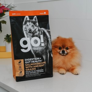 Pomeranian dog laying on counter beside bag of GO! SOLUTIONS