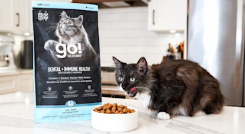 Cat eating Go! Solutions Dental + Immune Health kibble from bowl