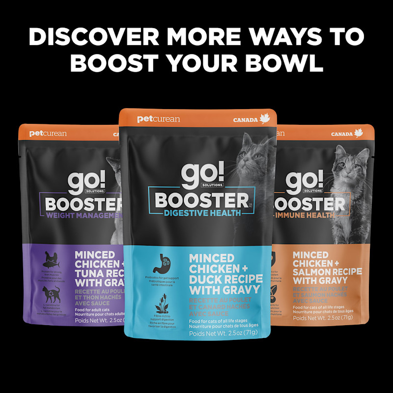 Discover more ways to boost your bowl