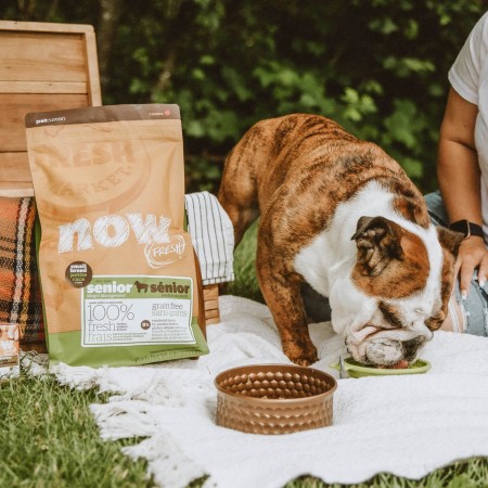 Dog and owner on picnic with bag of Now Fresh small breed senior dog food