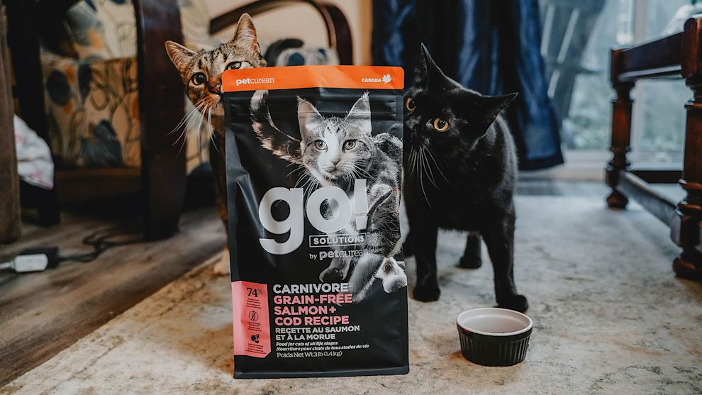Two cats sniffing bag of Go! Solutions Carnivore kibble