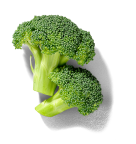 NOW-FRESH-Featured-Ingredient-Broccoli-Centered
