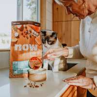 Cat watching owner pour NOW FRESH kibble into bowl on kitchen counter