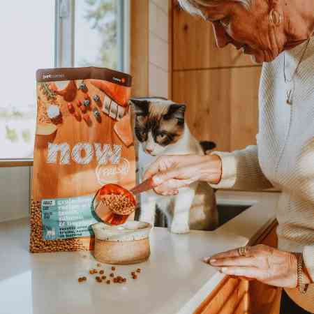 Cat watching owner pour NOW FRESH kibble into bowl on kitchen counter