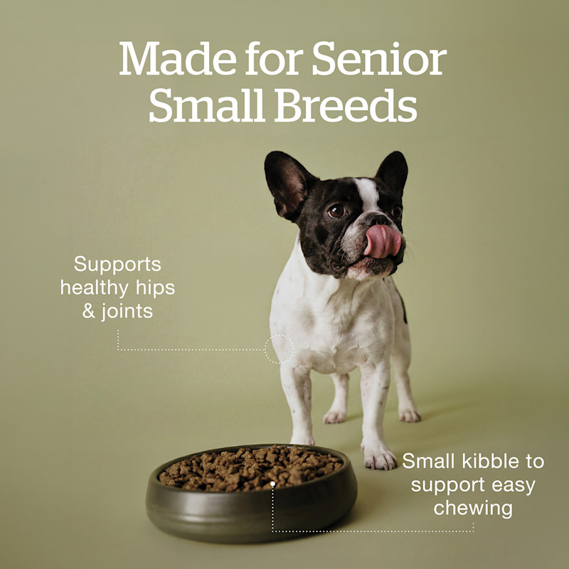 Made for senior small breed dogs