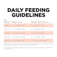 Go! Solutions Weight Management + Joint Care Grain-Free Salmon Recipe cat food feeding guidelines