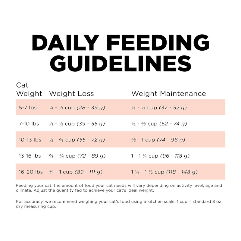 Go! Solutions Weight Management + Joint Care Grain-Free Salmon Recipe cat food feeding guidelines