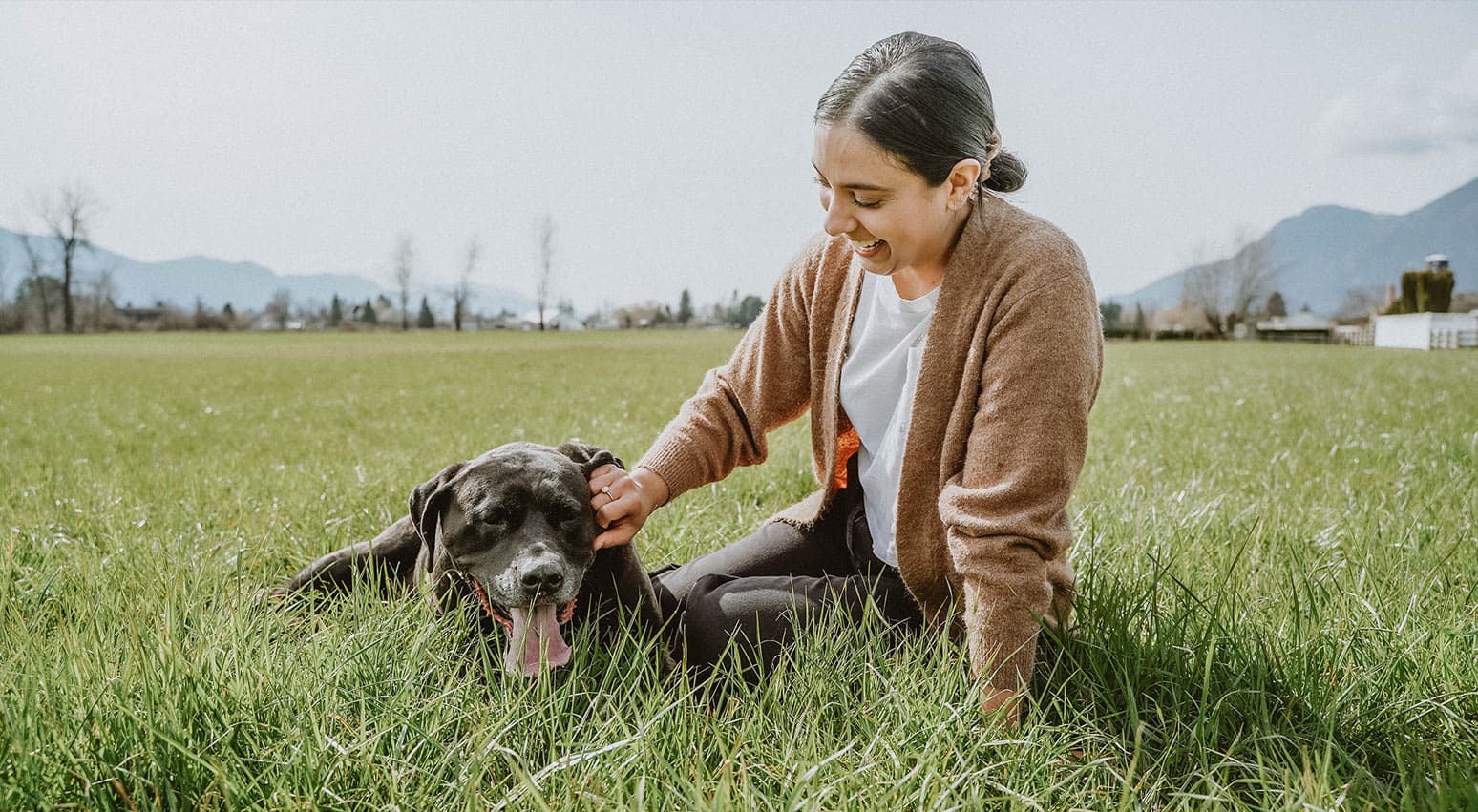 Crate Training For Rescue Dogs - SpiritDog Training