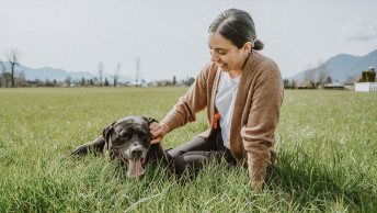 Large dog in field with owner