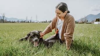 NF - Blog - Large Dog in field with owner