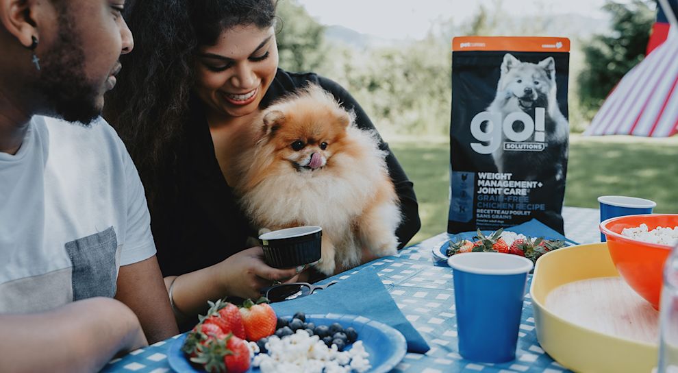 Dog with owners at picnic table with snacks