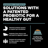 Solutions with a patented probiotic for a healthy gut