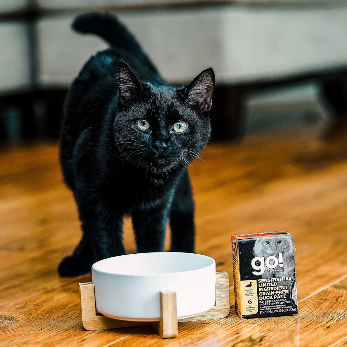 Black cat eating GO! SOLUTIONS SENSITIVITIES Limited Ingredient Grain-Free Duck Pâté