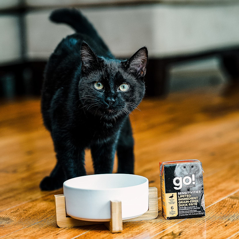 Black cat eating GO! SOLUTIONS SENSITIVITIES Limited Ingredient Grain-Free Duck Pâté