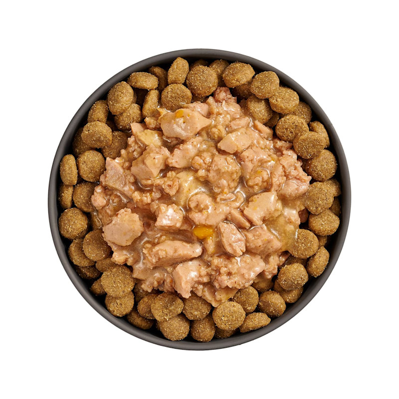 Bowl of kibble topped with Go! Booster Joint Care Minced Chicken recipe for dogs