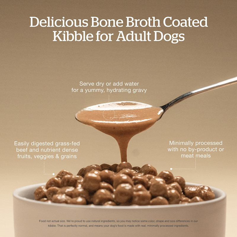 Delicious bone broth coated kibble for adult dogs