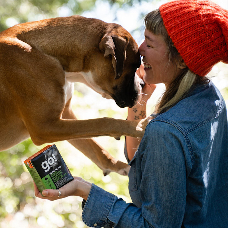 Boxer jumping up on woman holding GO! SOLUTIONS SENSITIVITIES Limited Ingredient Grain-Free Shredded Turkey Recipe for Dogs Tetra Pak