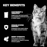 Convenient and versatile to serve, immune system support, and antioxidants from berries to support a strong immune system