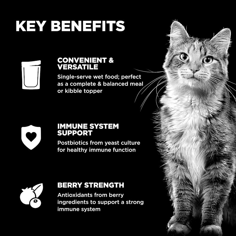 Convenient and versatile to serve, immune system support, and antioxidants from berries to support a strong immune system